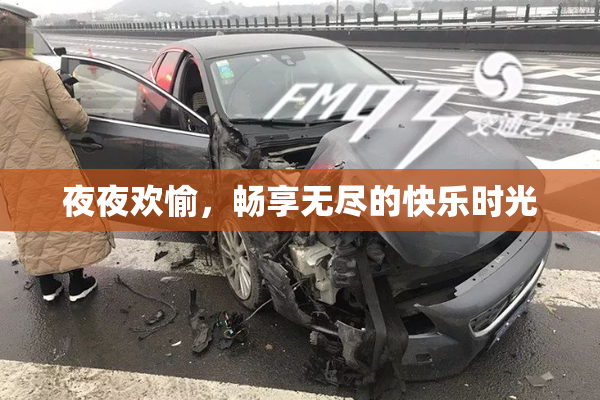 夜夜欢愉，畅享无尽的快乐时光