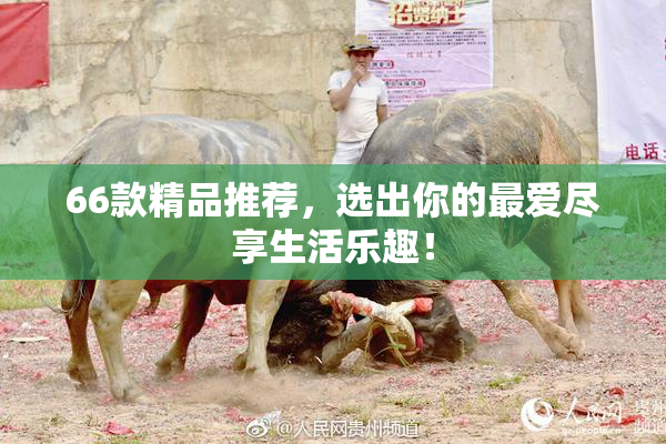 66款精品推荐，选出你的最爱尽享生活乐趣！