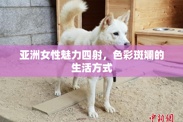 亚洲女性魅力四射，色彩斑斓的生活方式