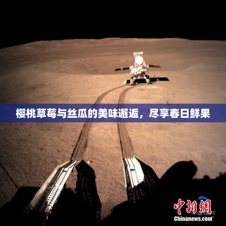 樱桃草莓与丝瓜的美味邂逅，尽享春日鲜果