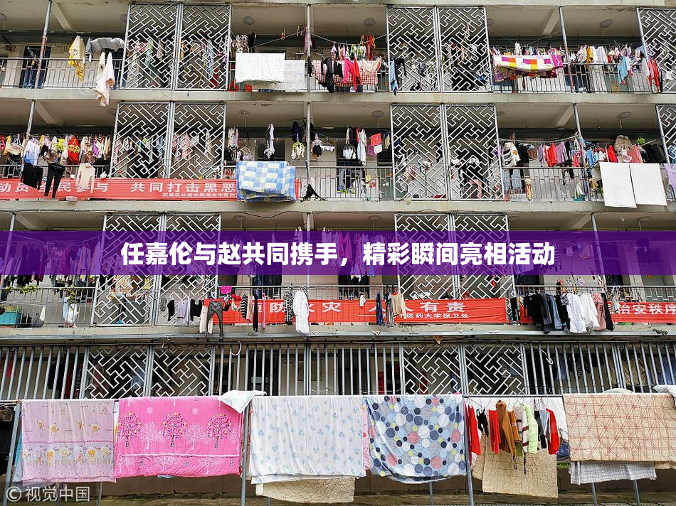 任嘉伦与赵共同携手，精彩瞬间亮相活动