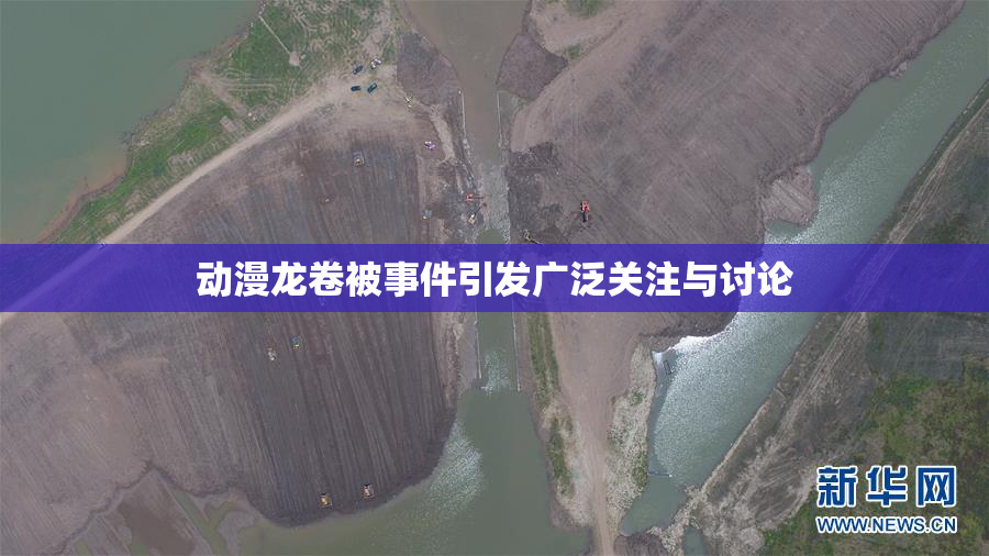 动漫龙卷被事件引发广泛关注与讨论