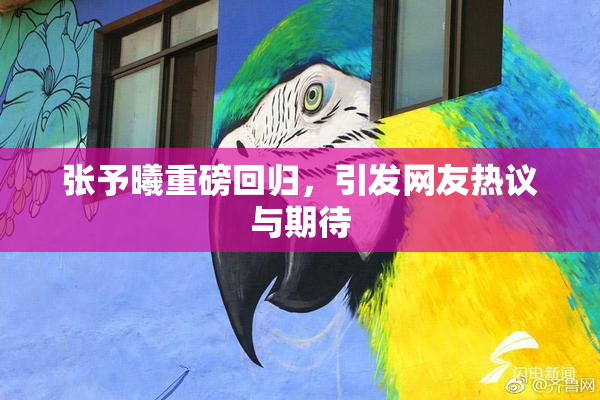 张予曦重磅回归，引发网友热议与期待