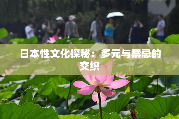 日本性文化探秘：多元与禁忌的交织