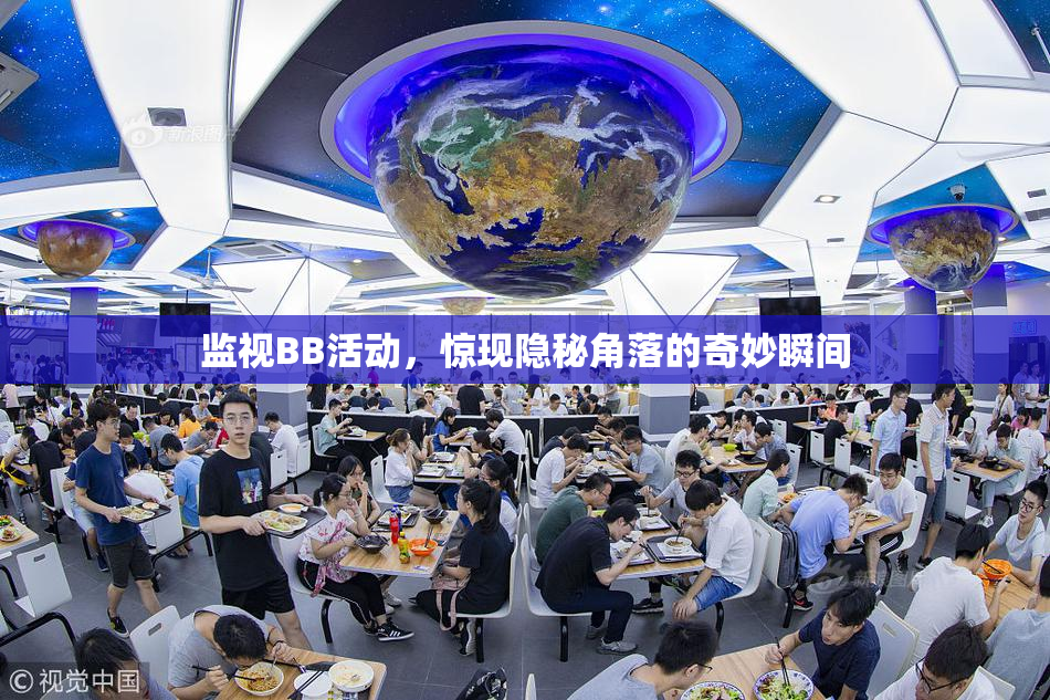 监视BB活动，惊现隐秘角落的奇妙瞬间