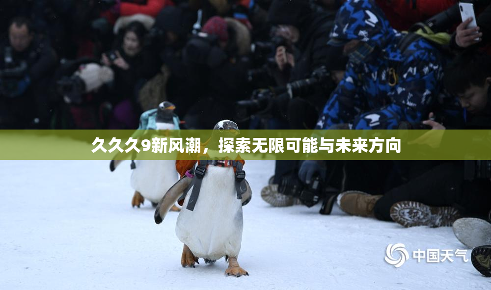 久久久9新风潮，探索无限可能与未来方向
