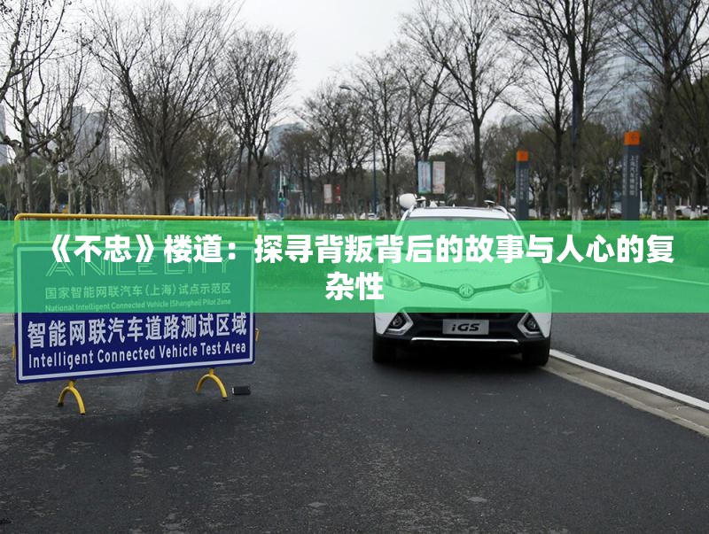 《不忠》楼道：探寻背叛背后的故事与人心的复杂性