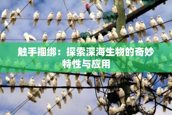 触手捆绑：探索深海生物的奇妙特性与应用