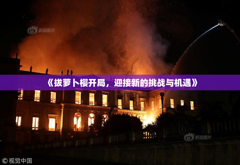 《拔萝卜樱开局，迎接新的挑战与机遇》