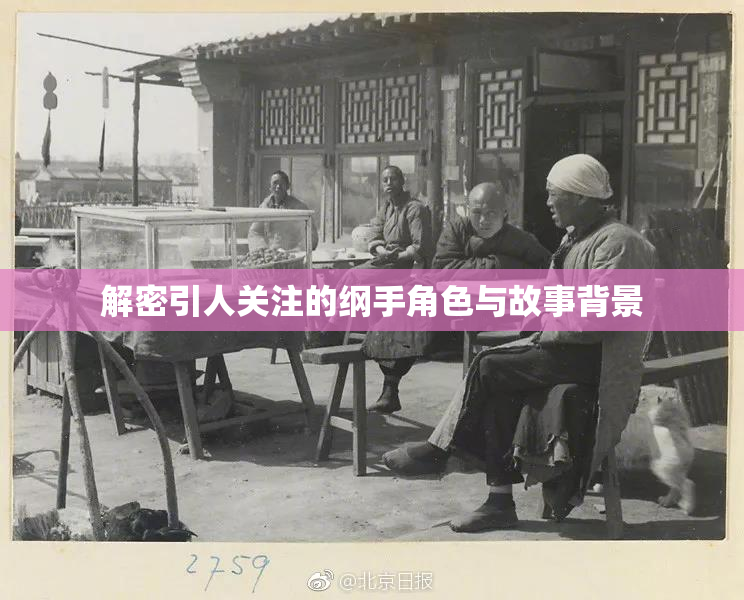 解密引人关注的纲手角色与故事背景