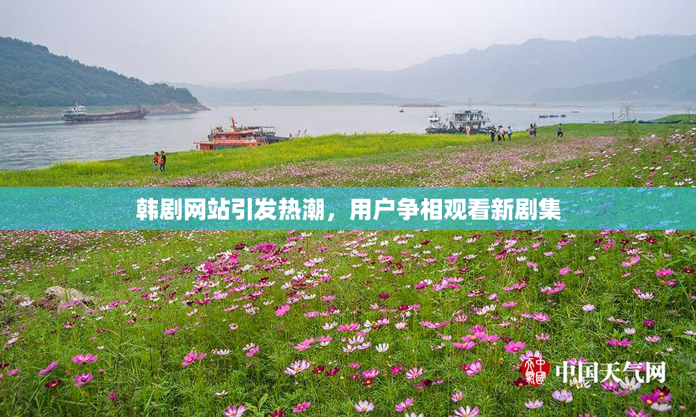 韩剧网站引发热潮，用户争相观看新剧集