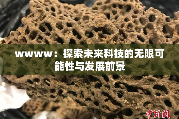 wwww：探索未来科技的无限可能性与发展前景