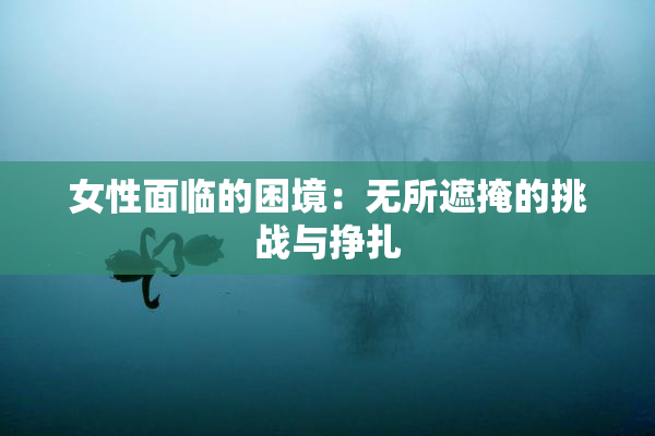 女性面临的困境：无所遮掩的挑战与挣扎
