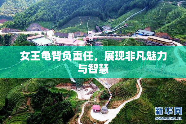 女王龟背负重任，展现非凡魅力与智慧