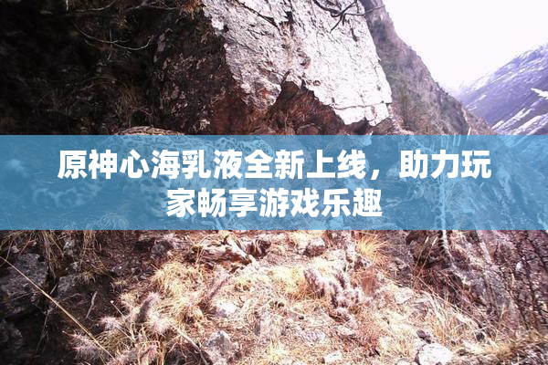 原神心海乳液全新上线，助力玩家畅享游戏乐趣