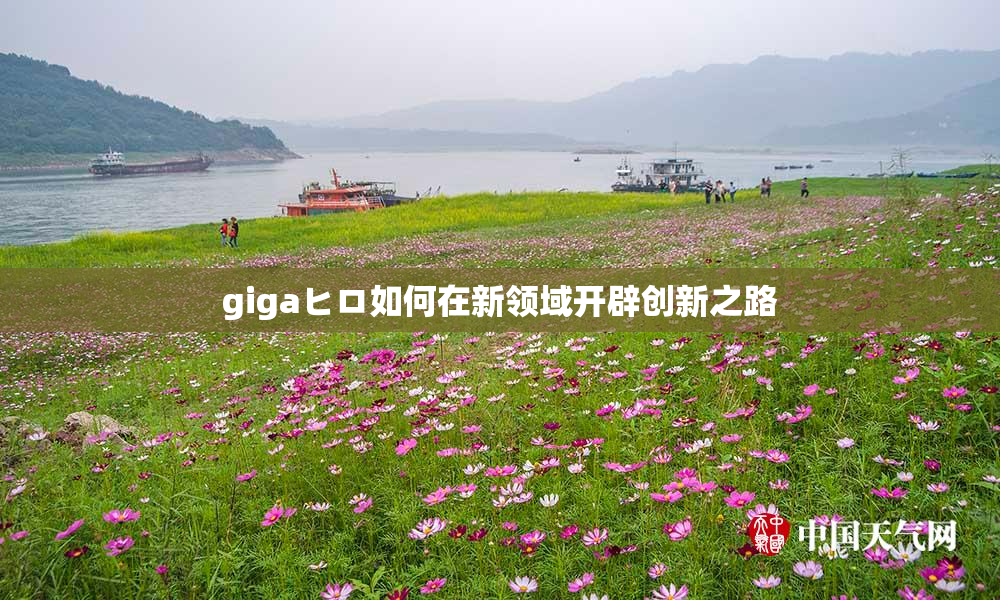 gigaヒロ如何在新领域开辟创新之路