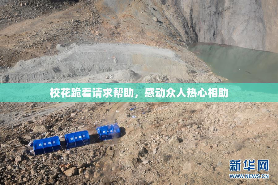 校花跪着请求帮助，感动众人热心相助