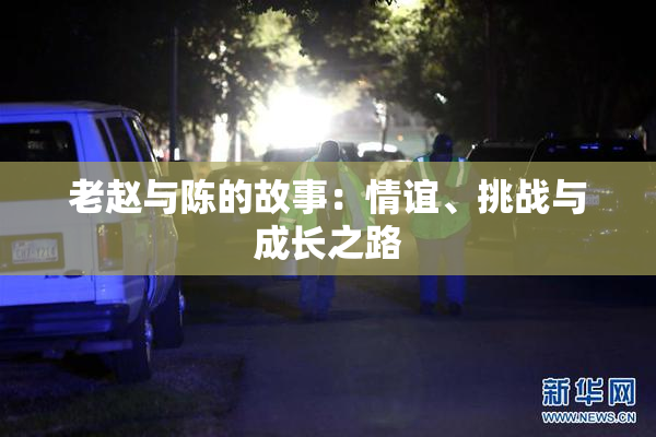 老赵与陈的故事：情谊、挑战与成长之路