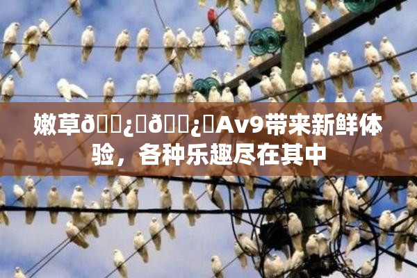 嫩草🌿‌🌿‌Av9带来新鲜体验，各种乐趣尽在其中