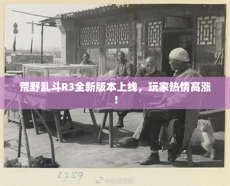 荒野乱斗R3全新版本上线，玩家热情高涨！