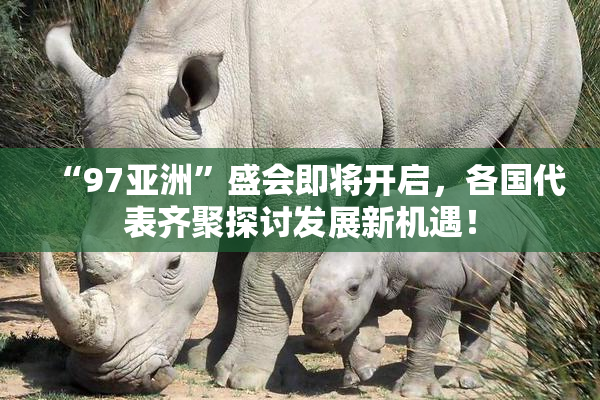 “97亚洲”盛会即将开启，各国代表齐聚探讨发展新机遇！