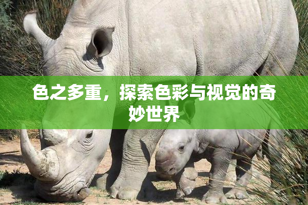色之多重，探索色彩与视觉的奇妙世界