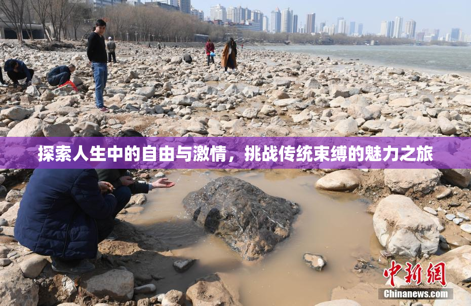 探索人生中的自由与激情，挑战传统束缚的魅力之旅