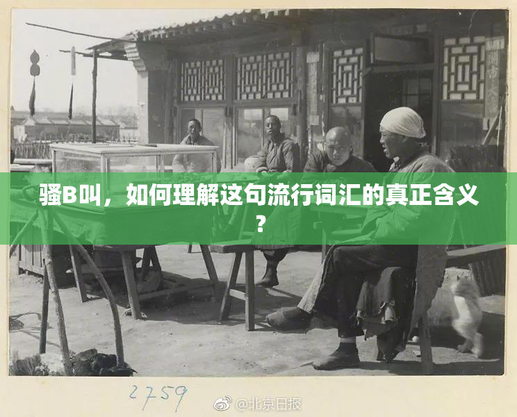 骚B叫，如何理解这句流行词汇的真正含义？