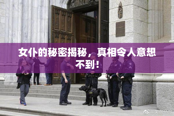 女仆的秘密揭秘，真相令人意想不到！