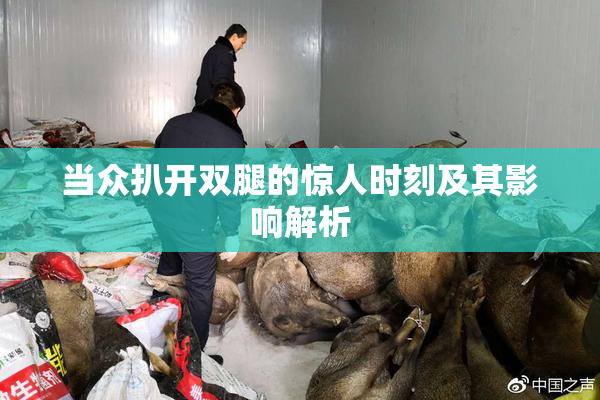 当众扒开双腿的惊人时刻及其影响解析