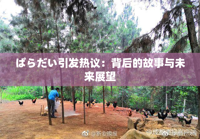 ぱらだい引发热议：背后的故事与未来展望