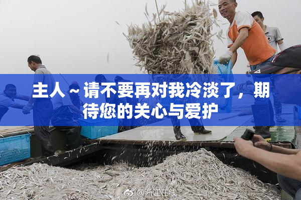 主人～请不要再对我冷淡了，期待您的关心与爱护