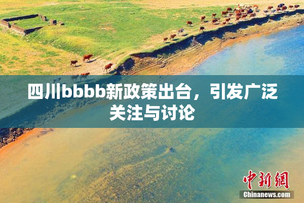 四川bbbb新政策出台，引发广泛关注与讨论