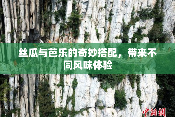 丝瓜与芭乐的奇妙搭配，带来不同风味体验