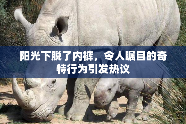 阳光下脱了内裤，令人瞩目的奇特行为引发热议