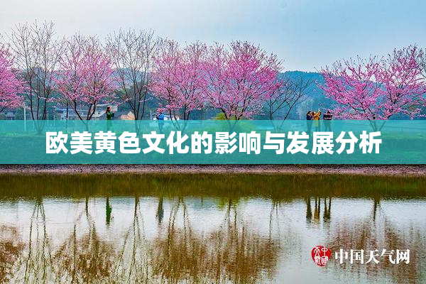 欧美黄色文化的影响与发展分析