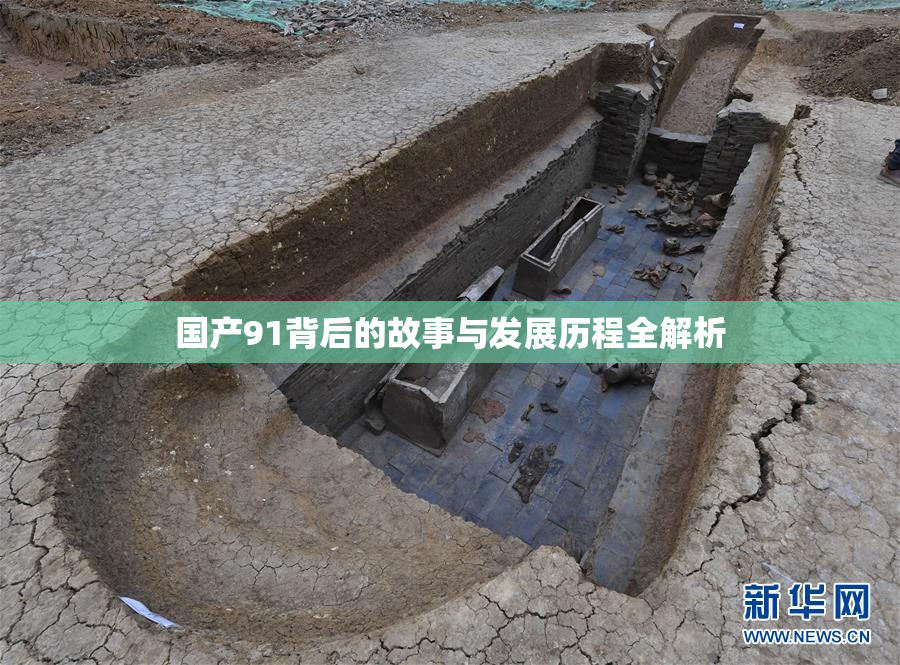 国产91背后的故事与发展历程全解析