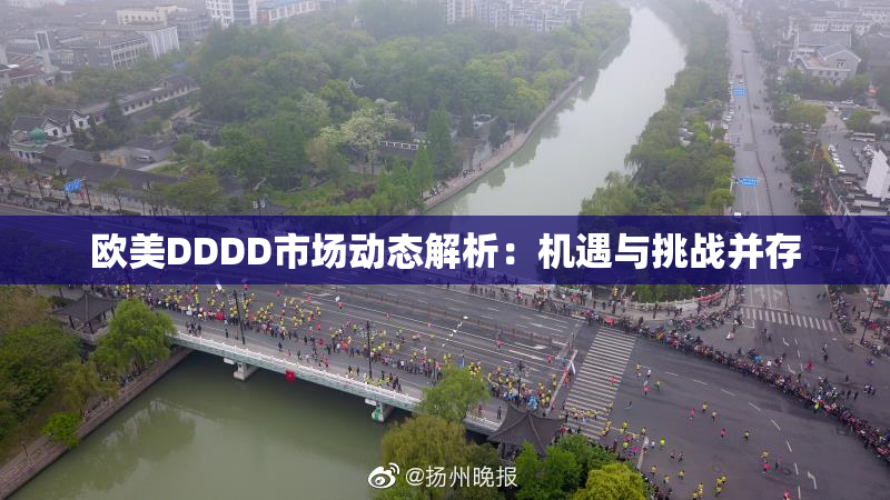 欧美DDDD市场动态解析：机遇与挑战并存