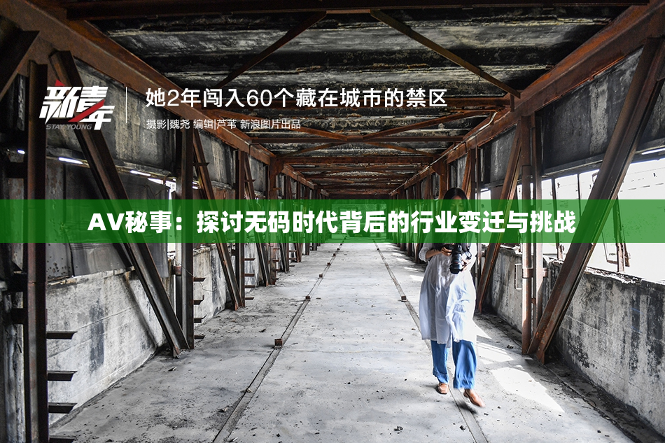 AV秘事：探讨无码时代背后的行业变迁与挑战