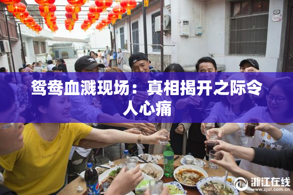 鸳鸯血溅现场：真相揭开之际令人心痛
