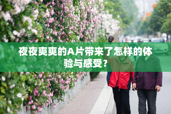 夜夜爽爽的A片带来了怎样的体验与感受？