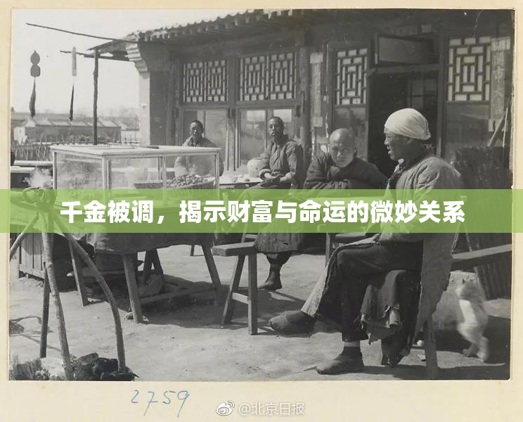 千金被调，揭示财富与命运的微妙关系