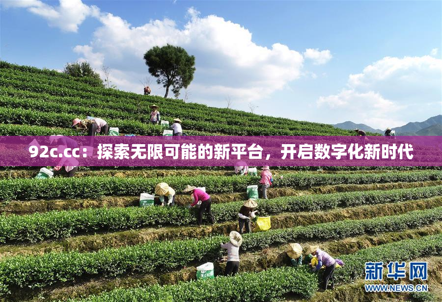 92c.cc：探索无限可能的新平台，开启数字化新时代