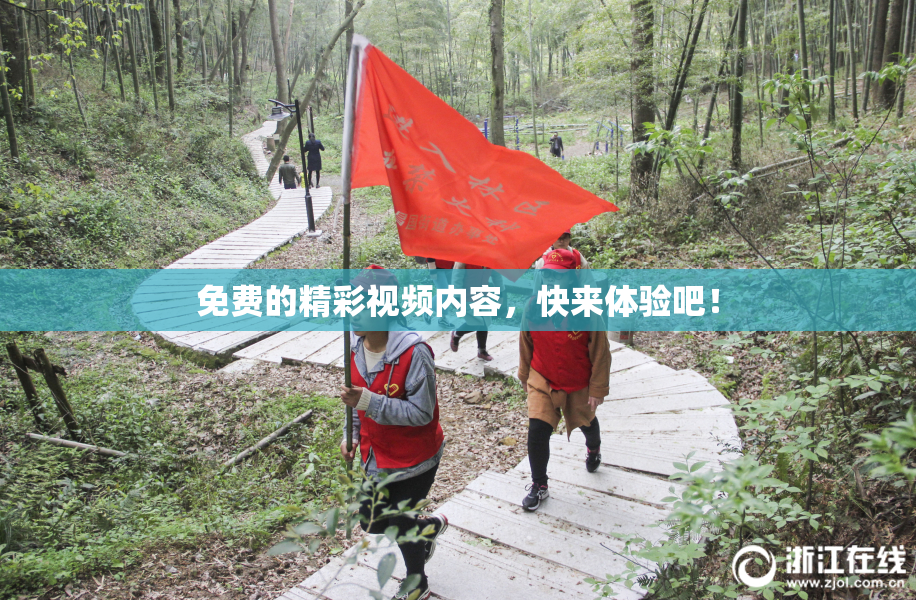 免费的精彩视频内容，快来体验吧！