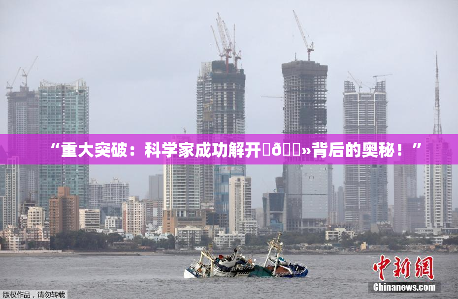 “重大突破：科学家成功解开‌🐻背后的奥秘！”