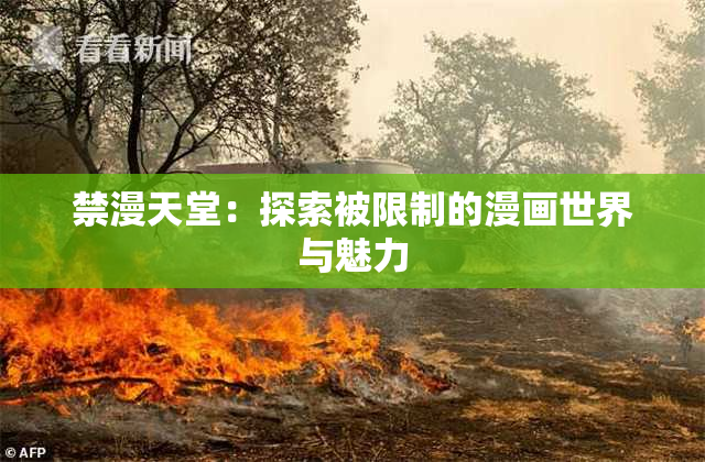 禁漫天堂：探索被限制的漫画世界与魅力