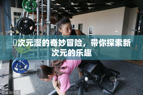 囧次元漫的奇妙冒险，带你探索新次元的乐趣