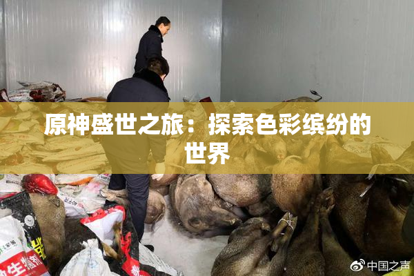 原神盛世之旅：探索色彩缤纷的世界