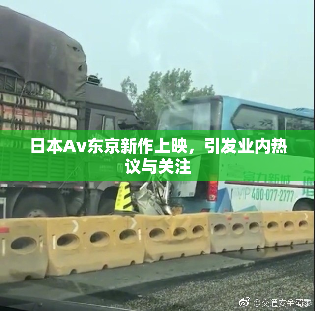 日本Av东京新作上映，引发业内热议与关注