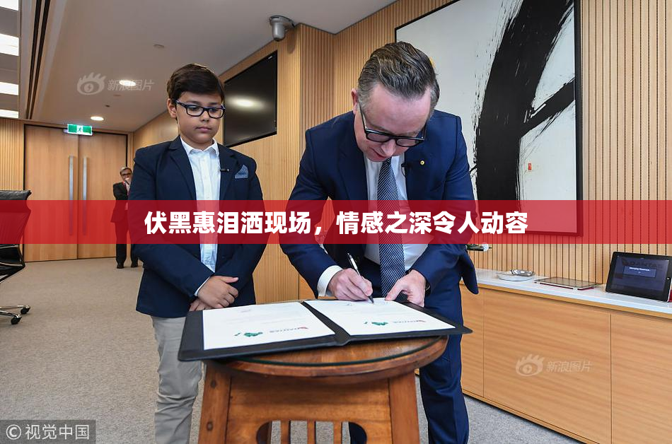 伏黑惠泪洒现场，情感之深令人动容